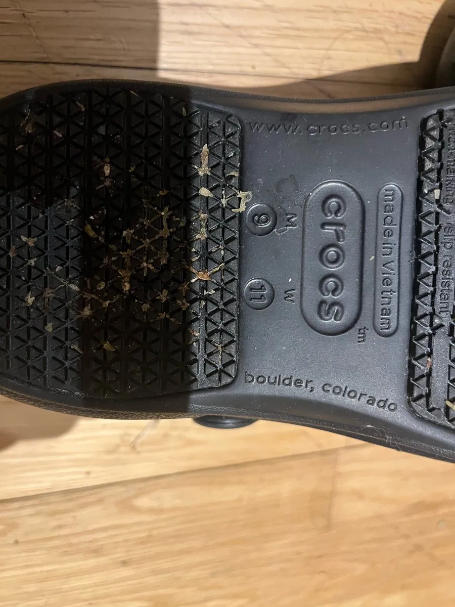 Crocs - Image 1