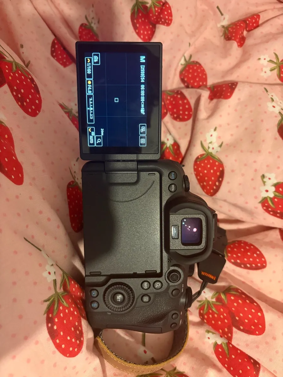 Canon R6 Mkii - Image 2