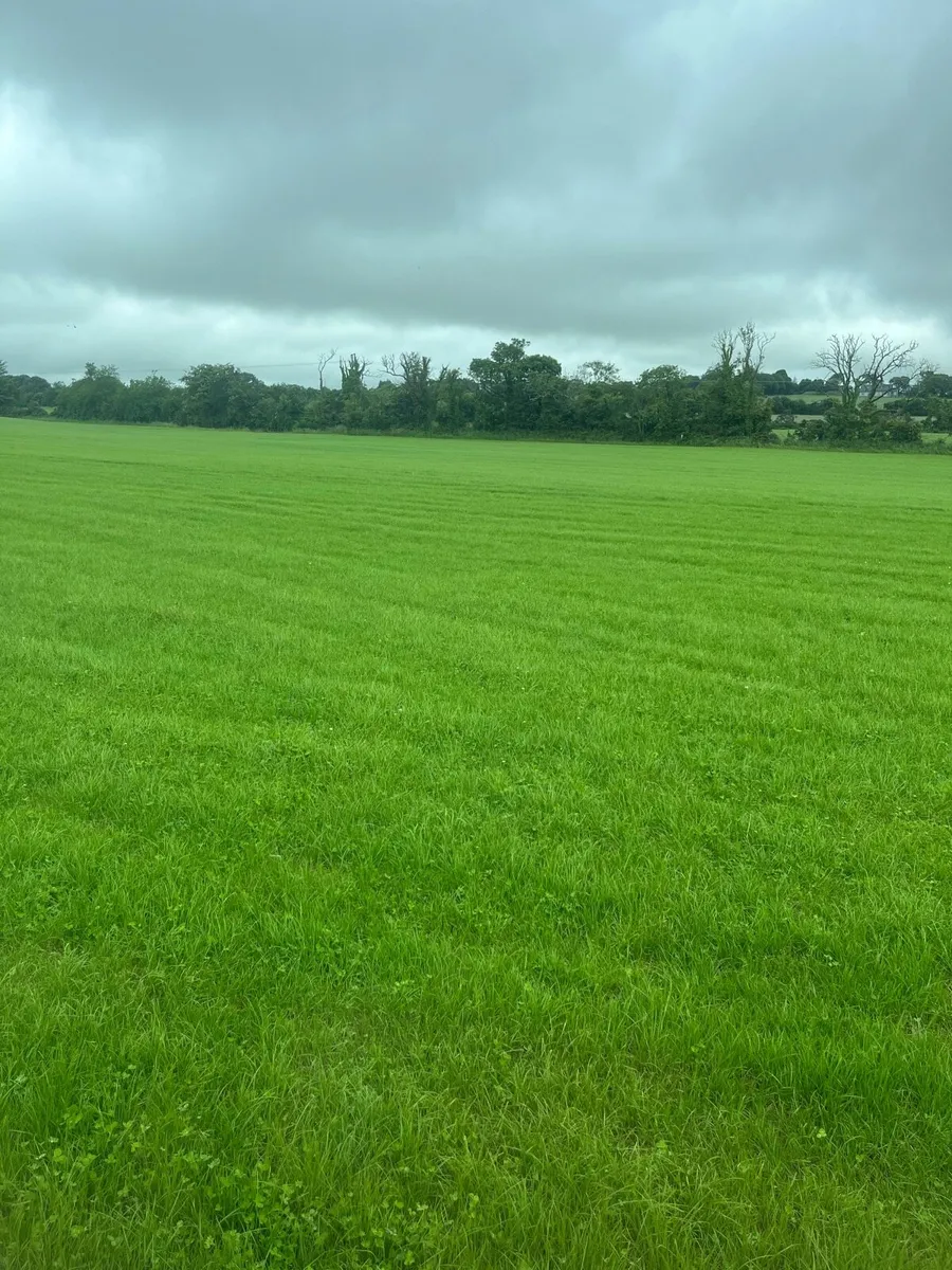 Independent Agronomist - Image 3