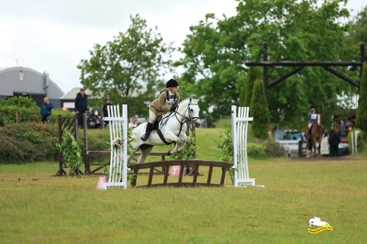 All rounder Connemara - Image 1