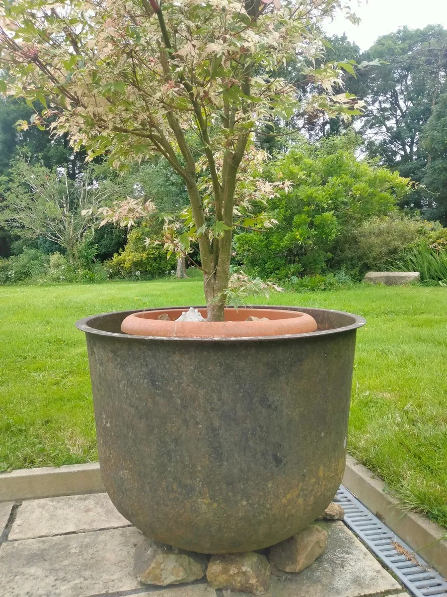 Famine pots - Image 1