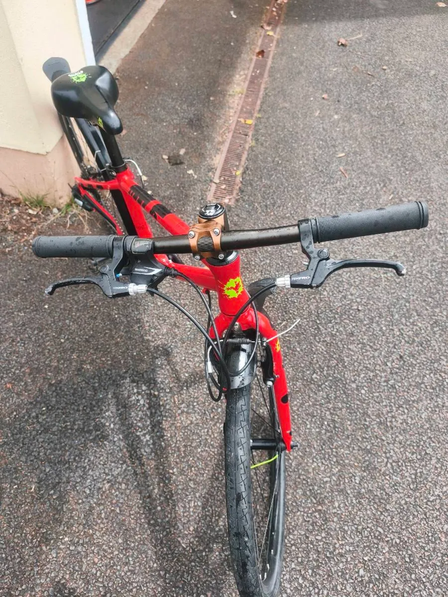 Frog bike - Image 1