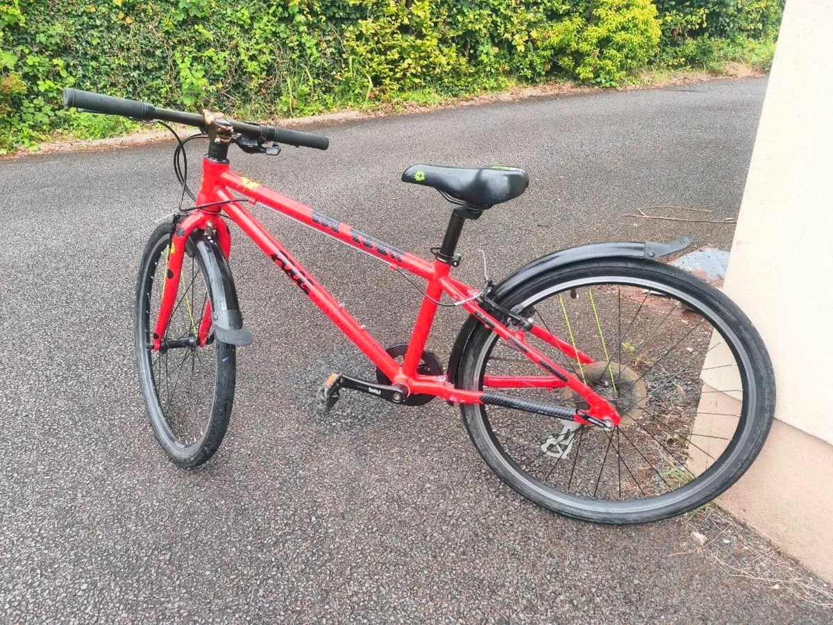 Frog bike - Image 2