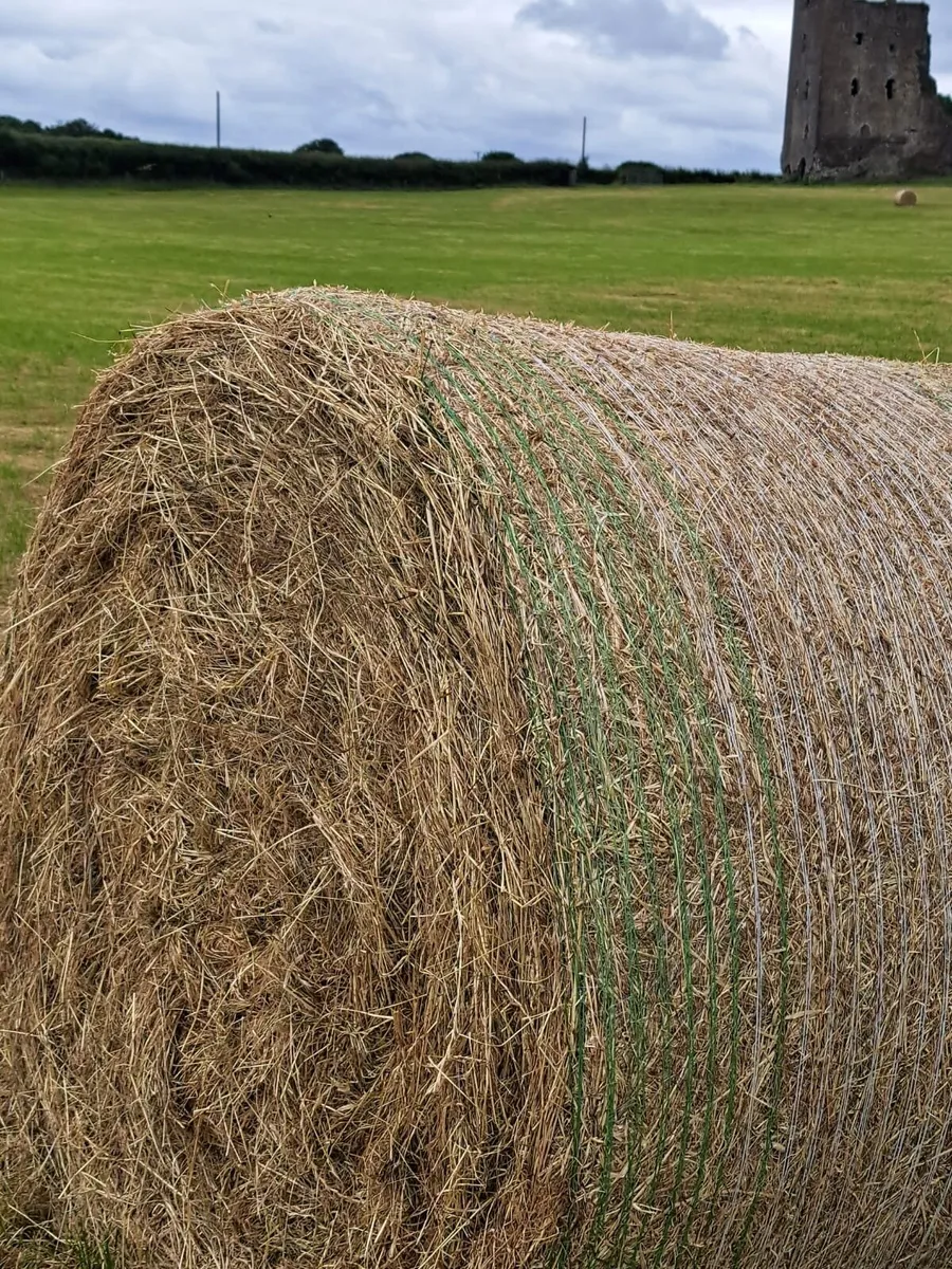 Hay for sale - Image 2