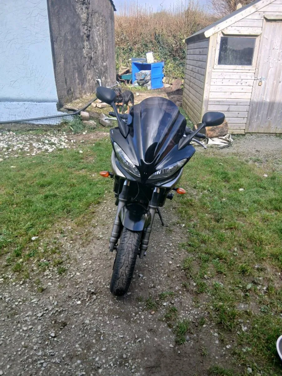 2004 yamaha fz6 - Image 3