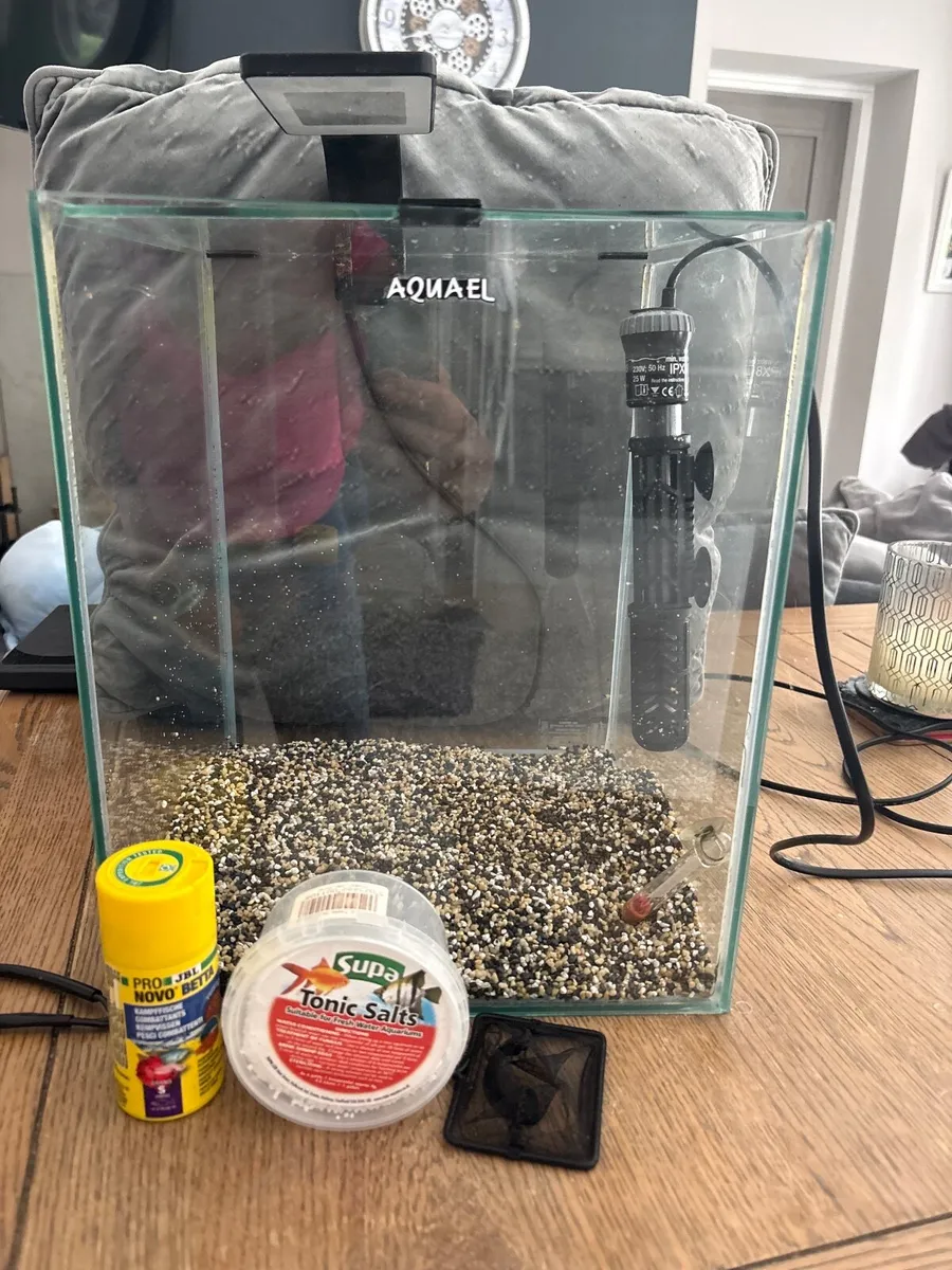 Fish tank - Image 1