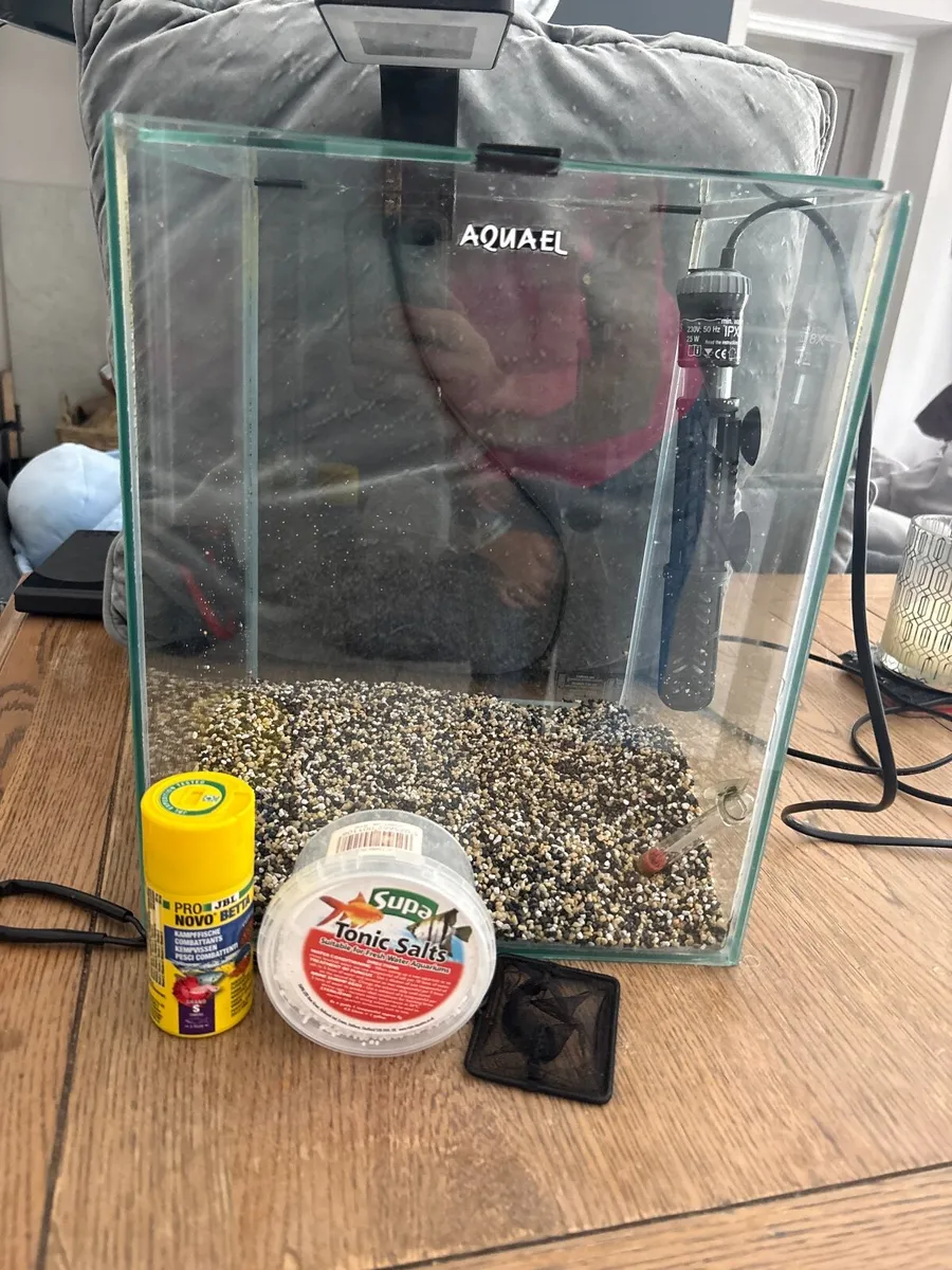 Fish tank - Image 2