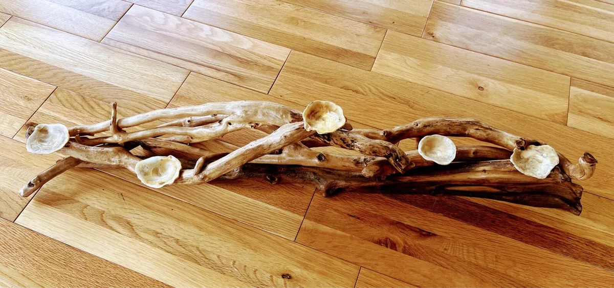 Handcrafted drift wood - Image 1