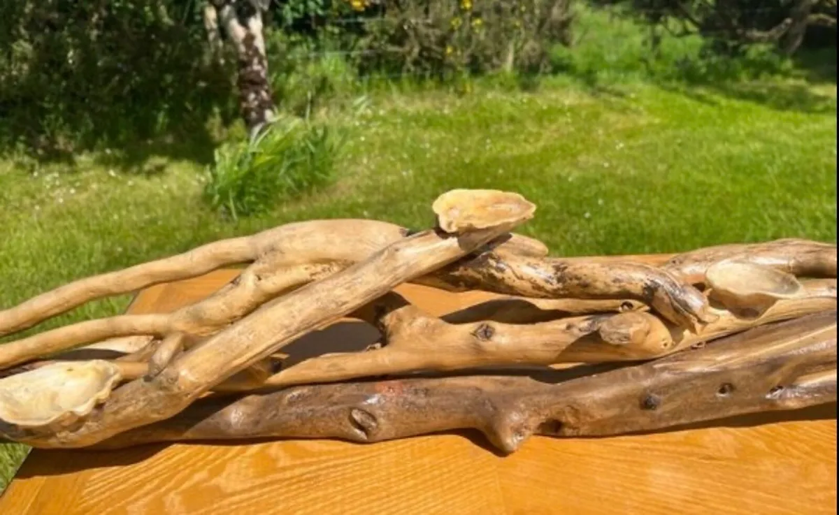 Handcrafted drift wood - Image 4