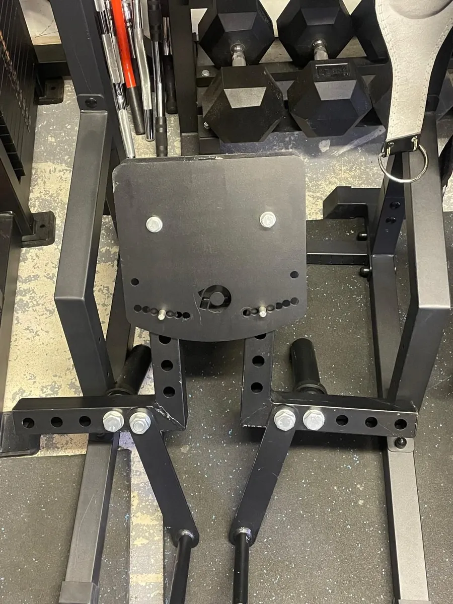 Lateral Raise Rack Attachment will take any price - Image 1
