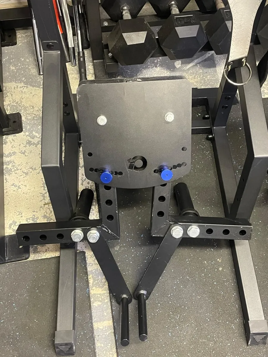 Lateral Raise Rack Attachment will take any price - Image 2