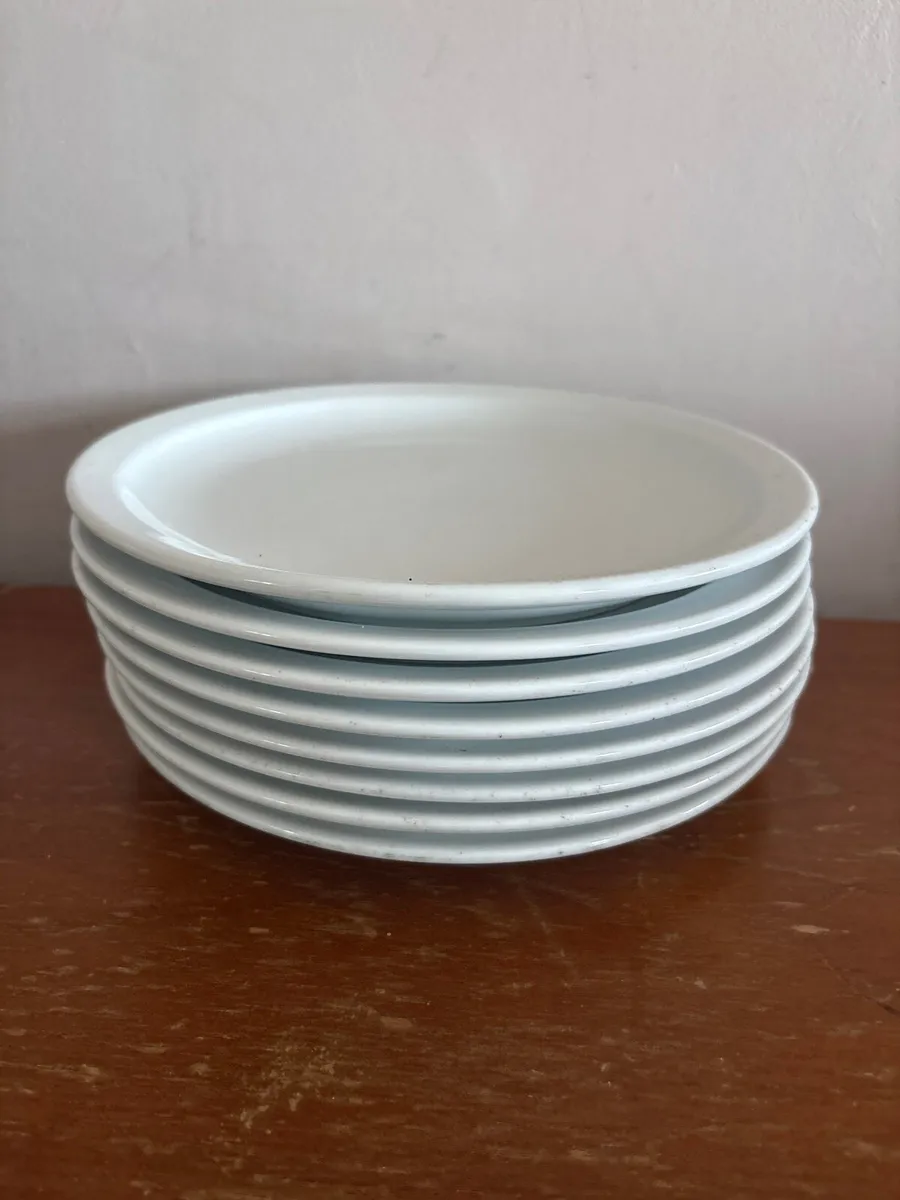 100+ dinner plates