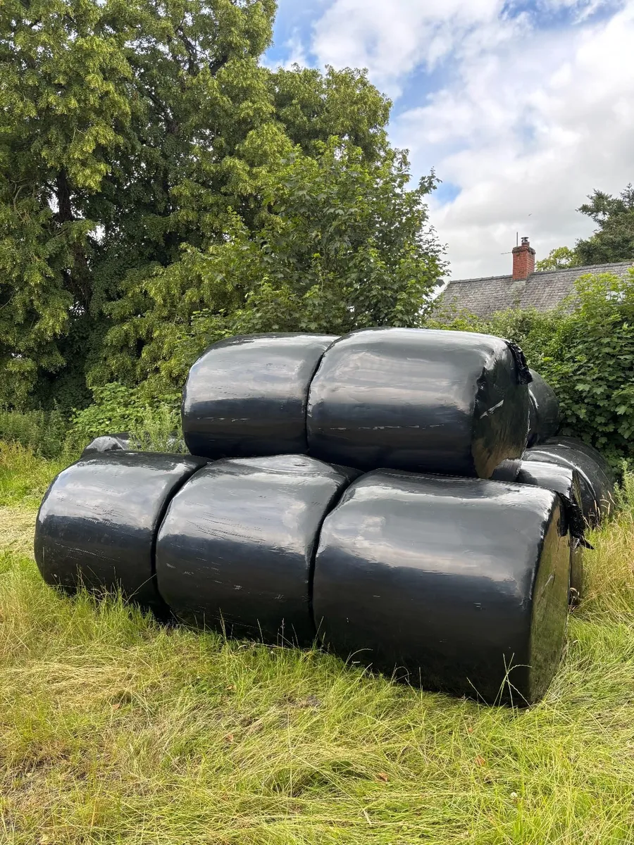 Silage