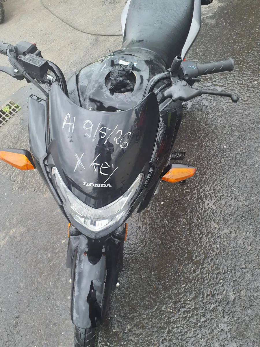 Honda Other 2024 - Image 4