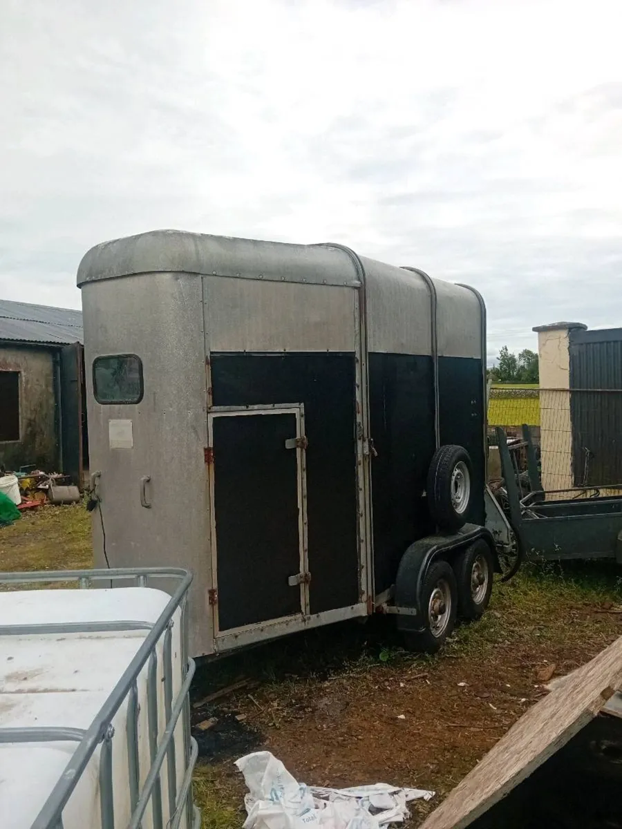 Iver Williams horse box for sale - Image 2