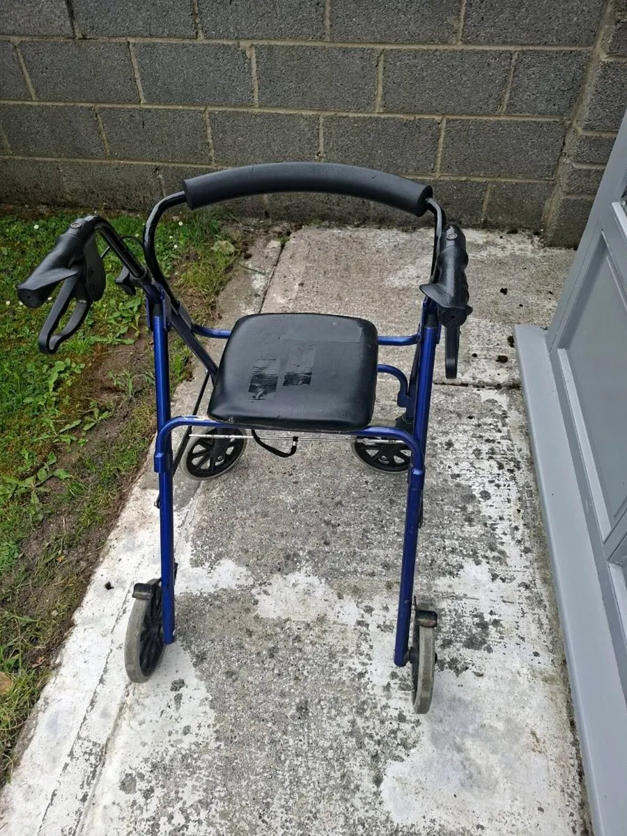 Walker - Image 3
