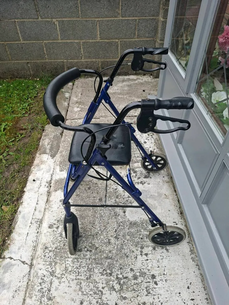 Walker - Image 1