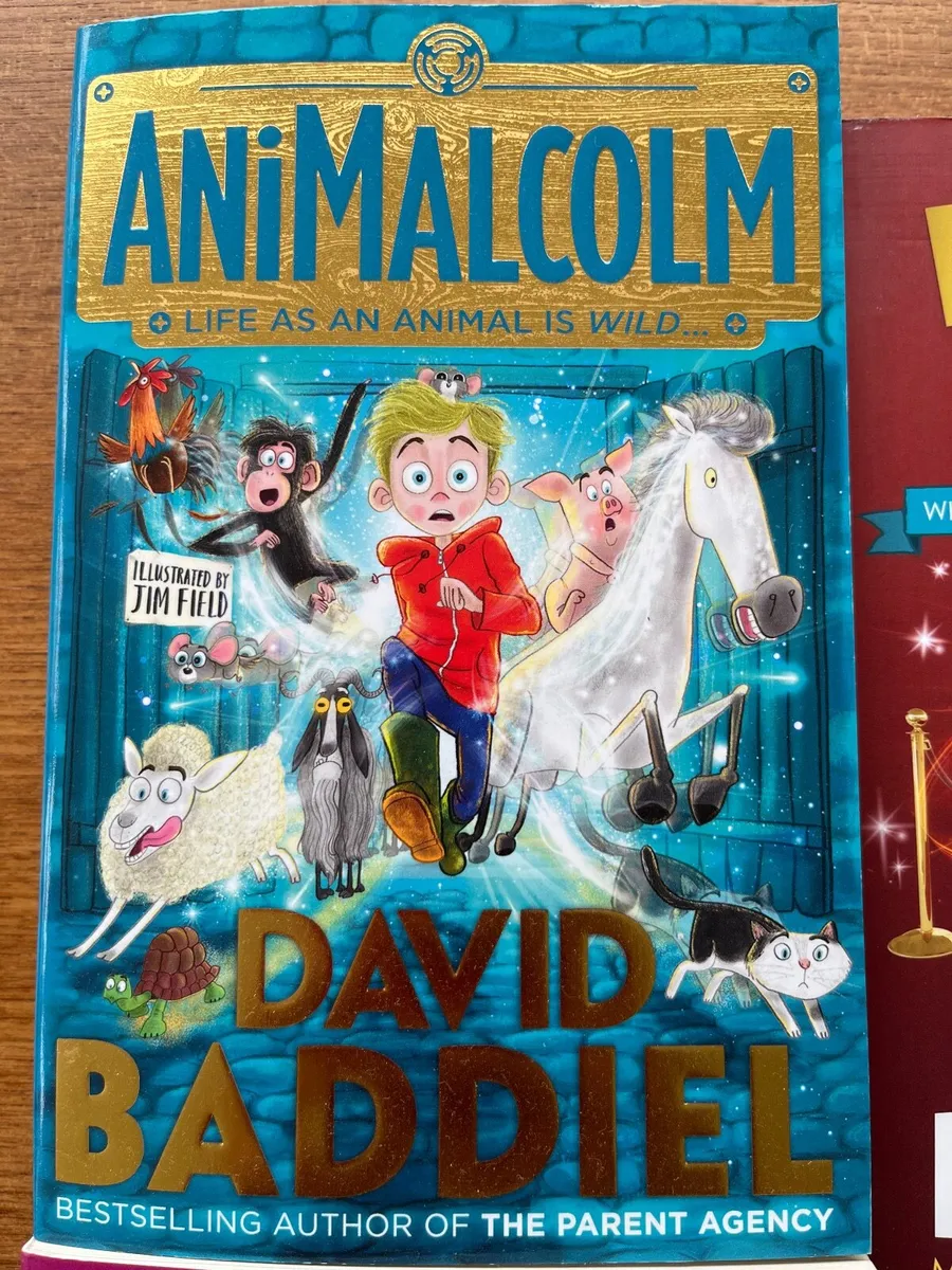 david baddiel books - Image 2