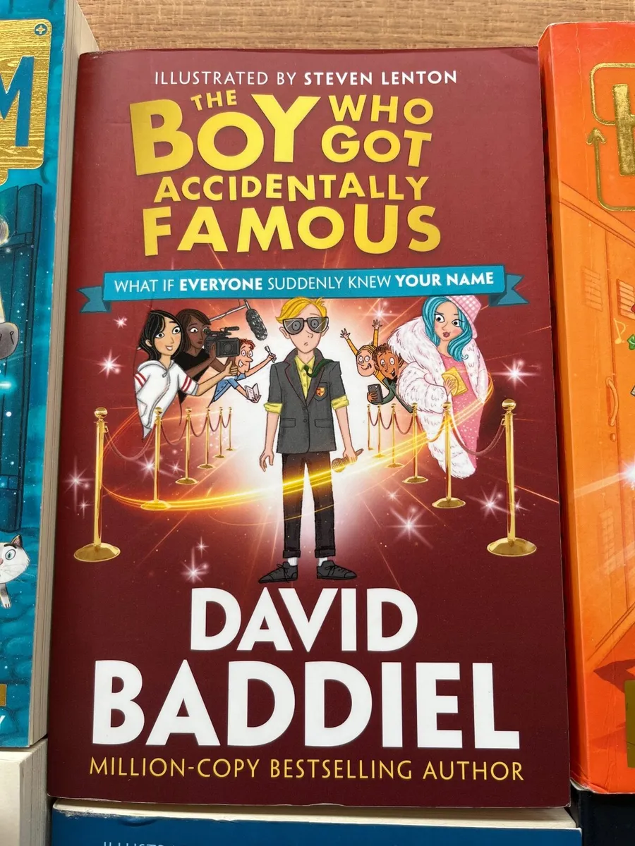 david baddiel books - Image 4