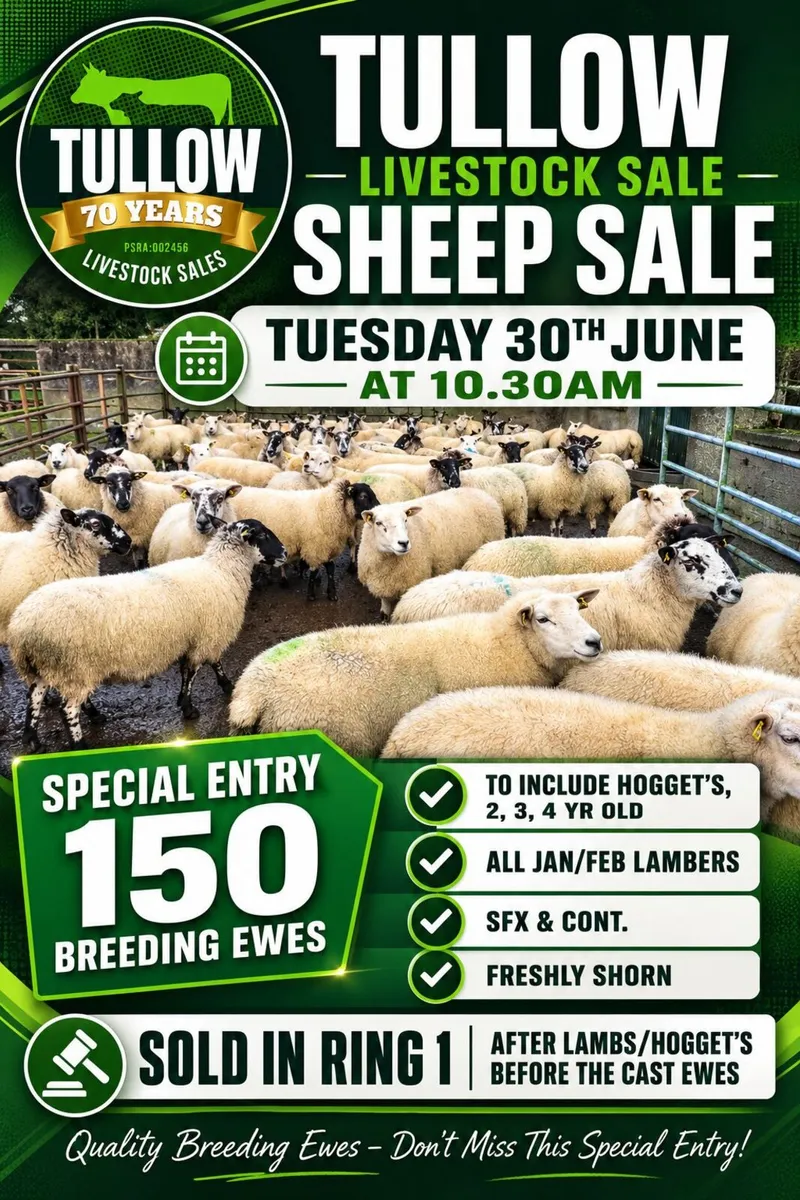150 Breeding Ewes Tues. 30th June - Tullow Mart - Image 1