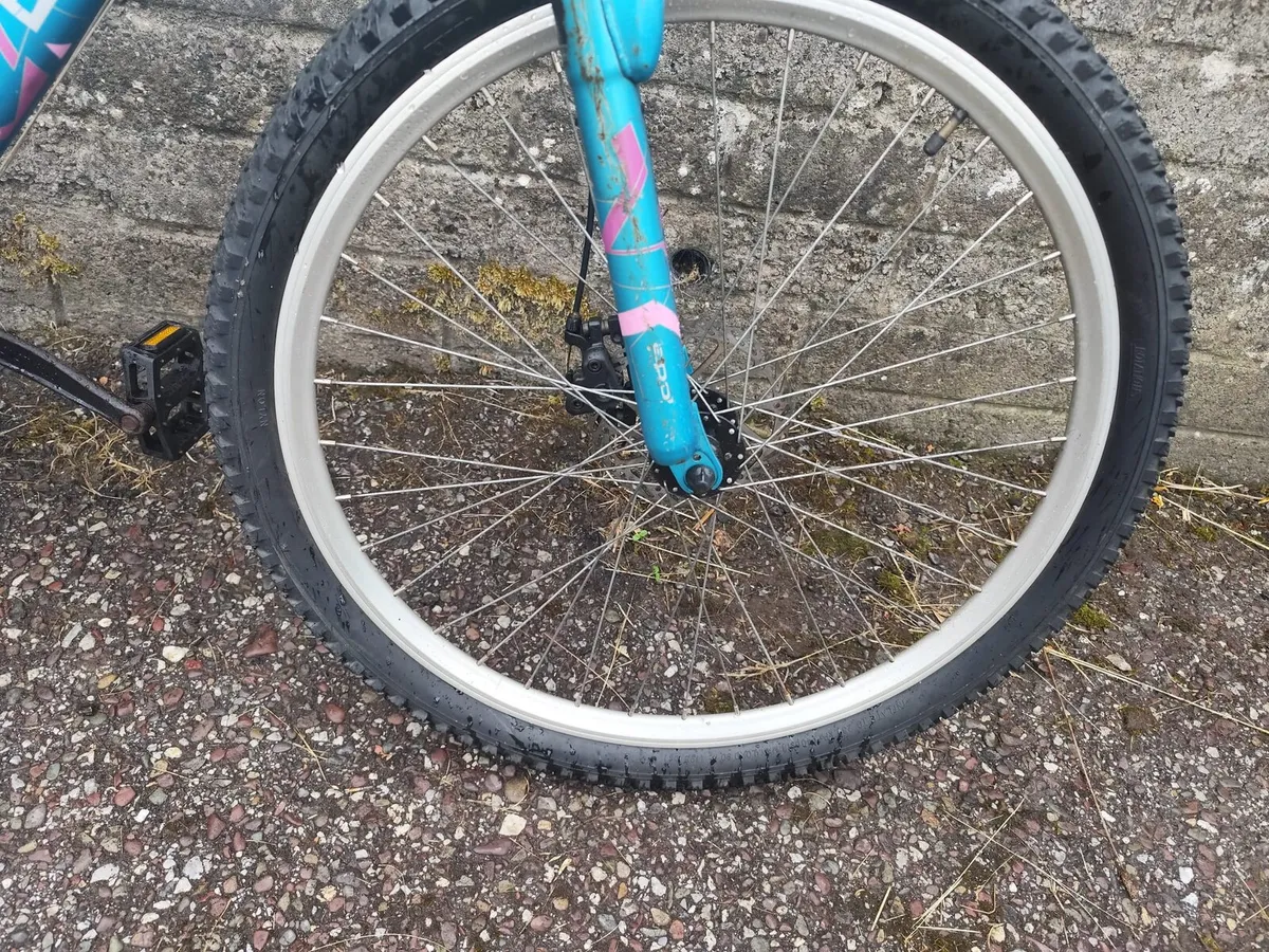 Bicycle - Image 4