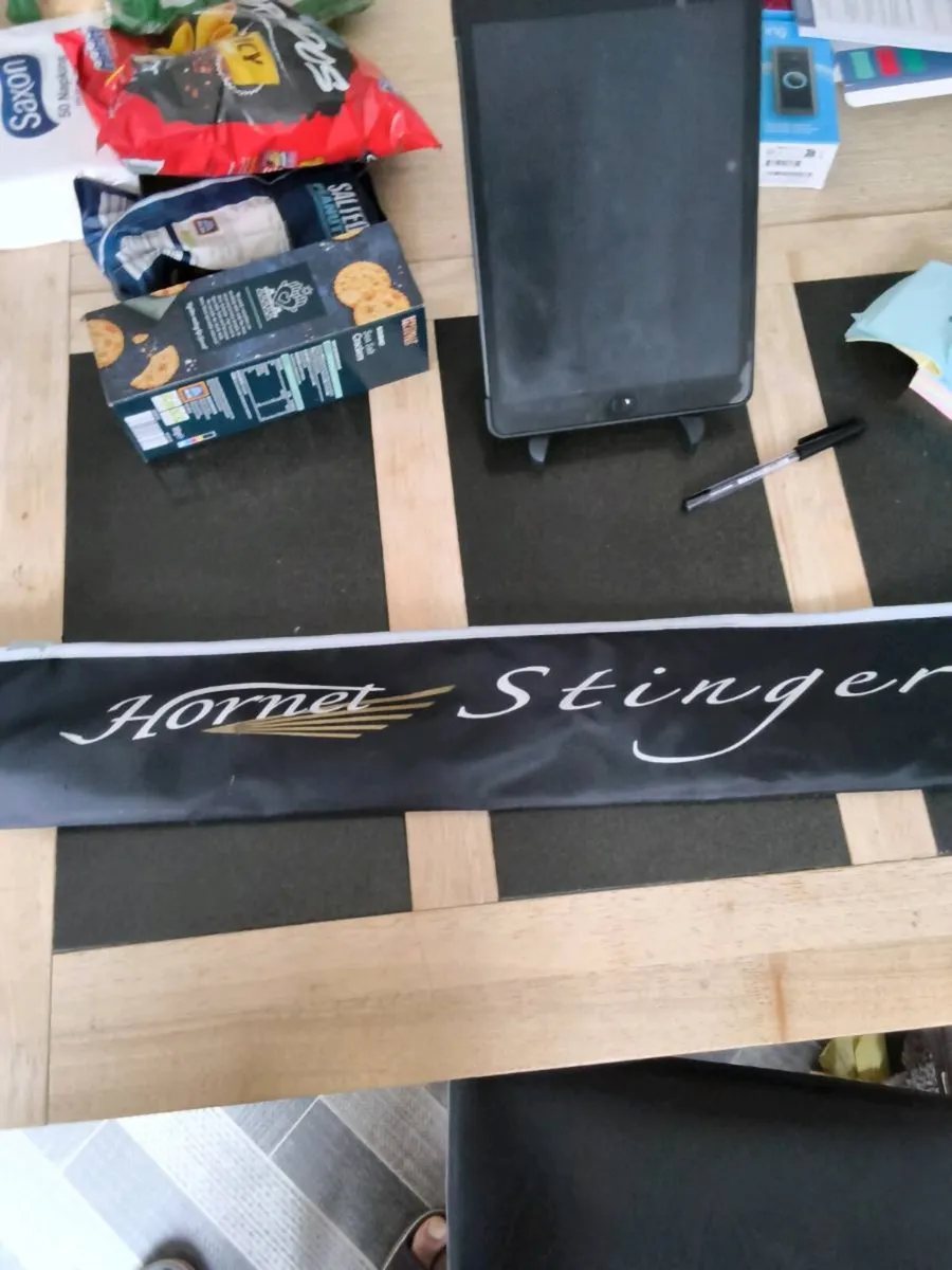 Abu Garcia Hornet,Stinger - Image 1