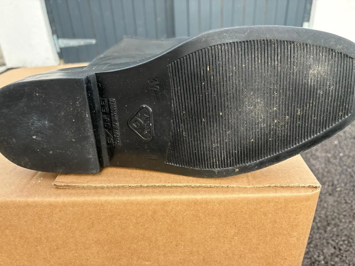 Horse Riding Equipment - Image 4