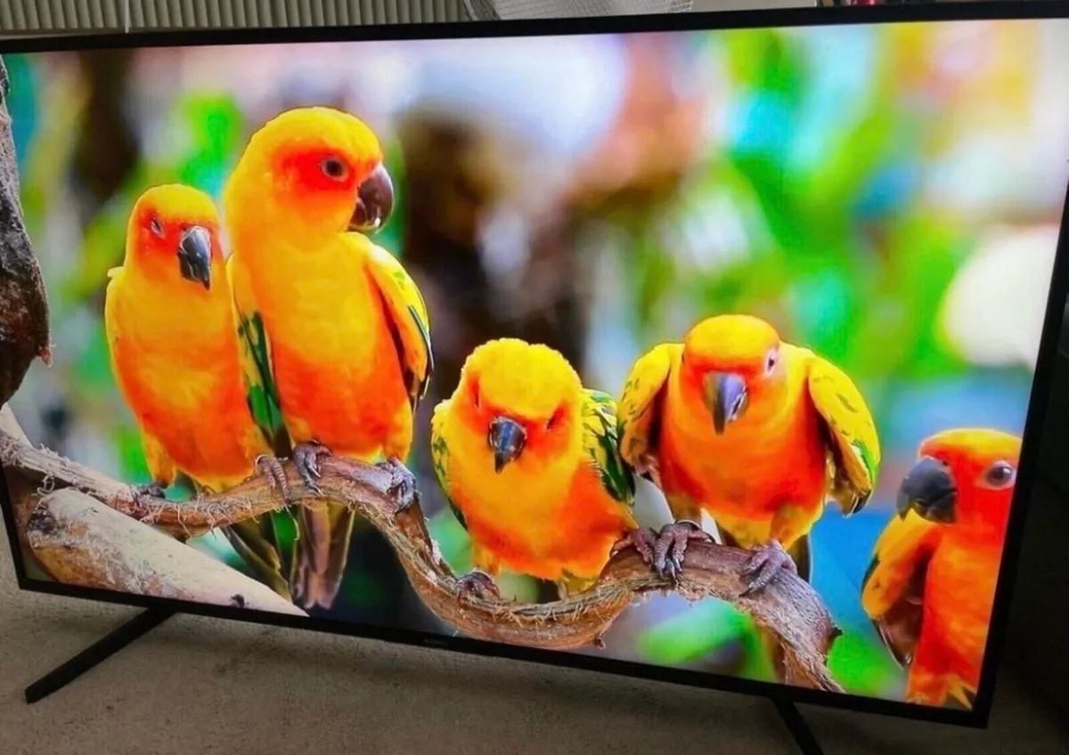 55” Sony Bravia 4k Ultra HDR Smart Tv - Image 3