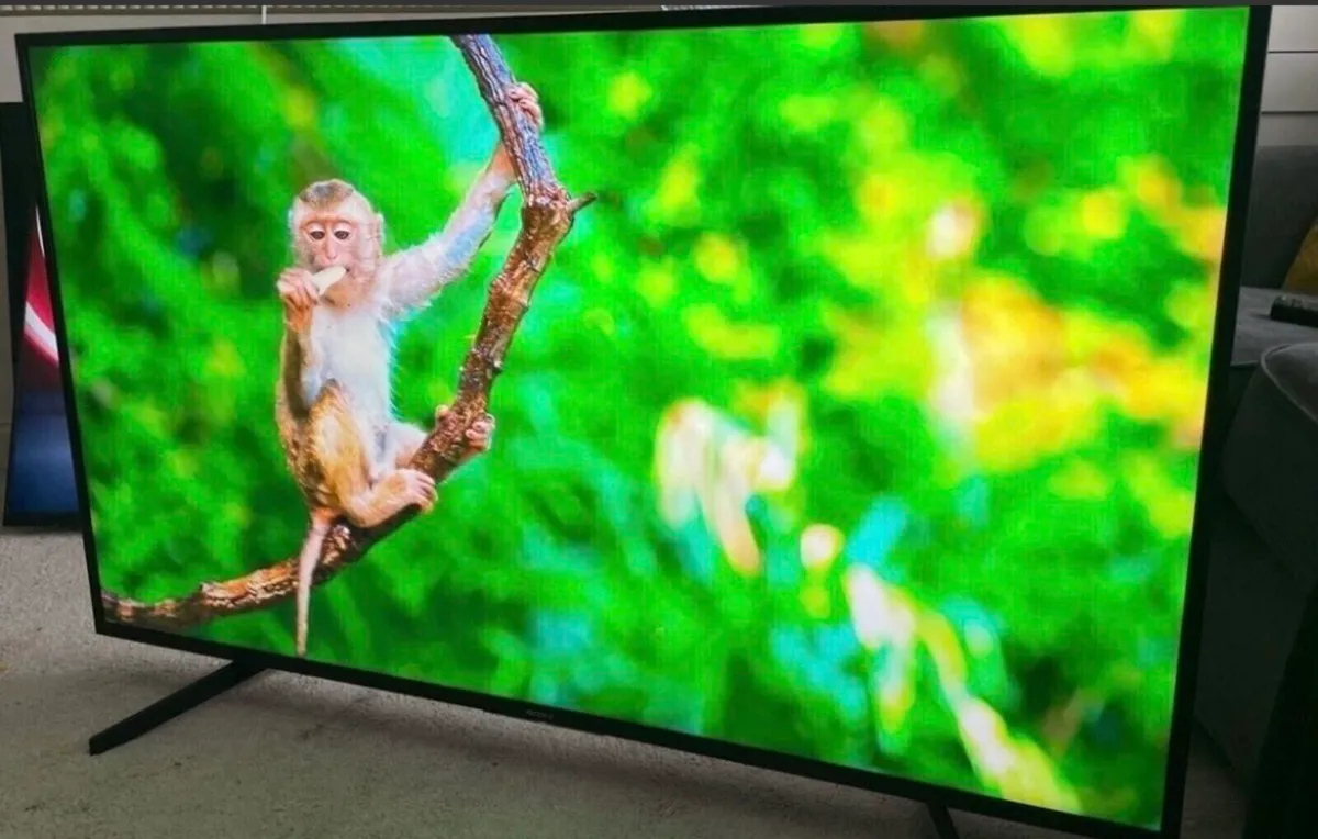 55” Sony Bravia 4k Ultra HDR Smart Tv - Image 4