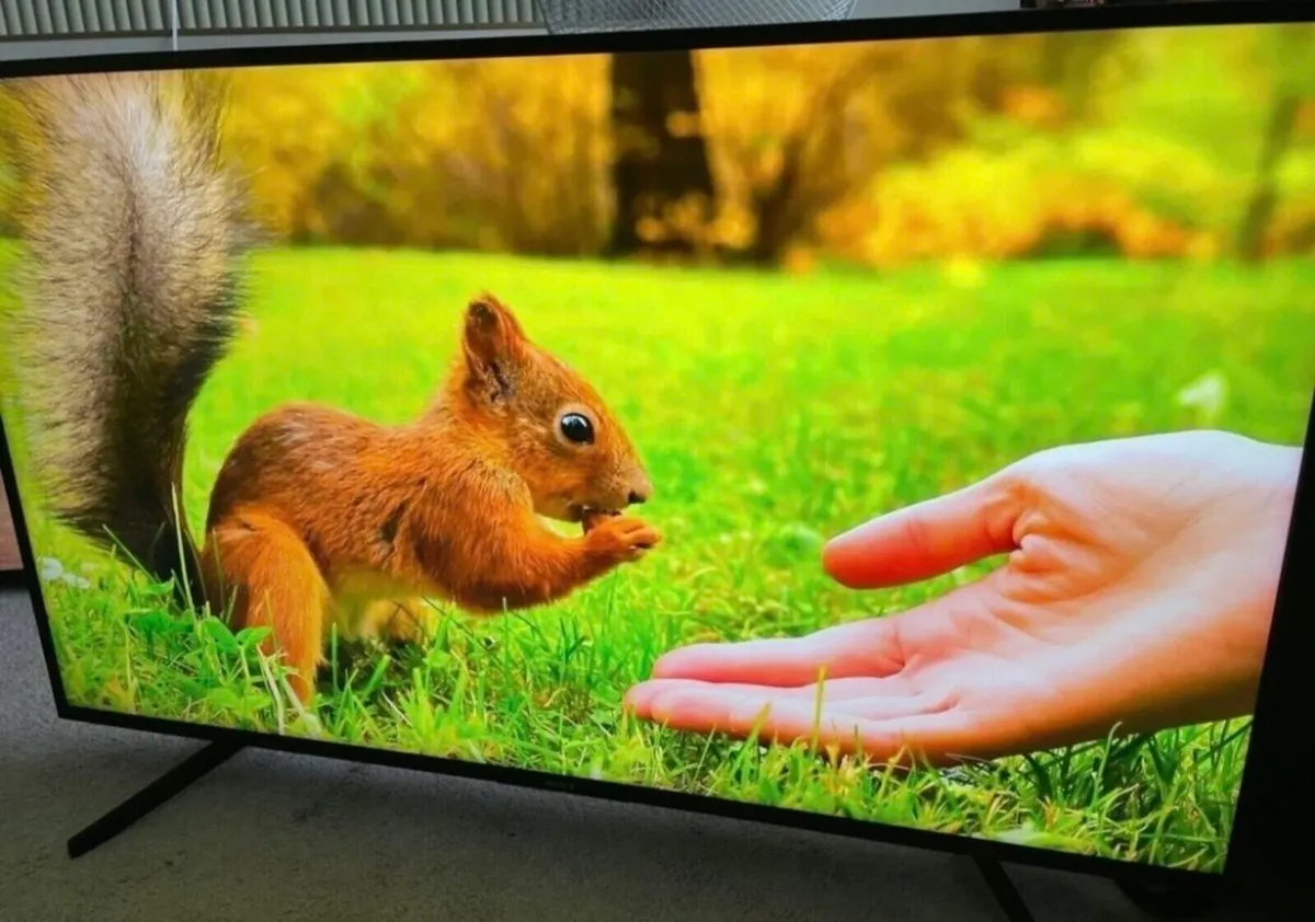 55” Sony Bravia 4k Ultra HDR Smart Tv - Image 2