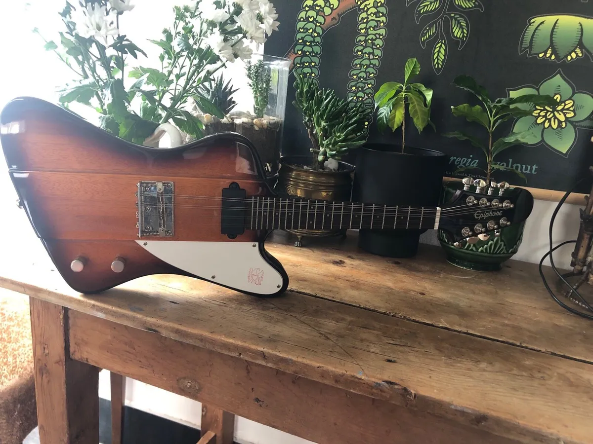 Epiphone Mandobird VIII electric mandolin - Image 1