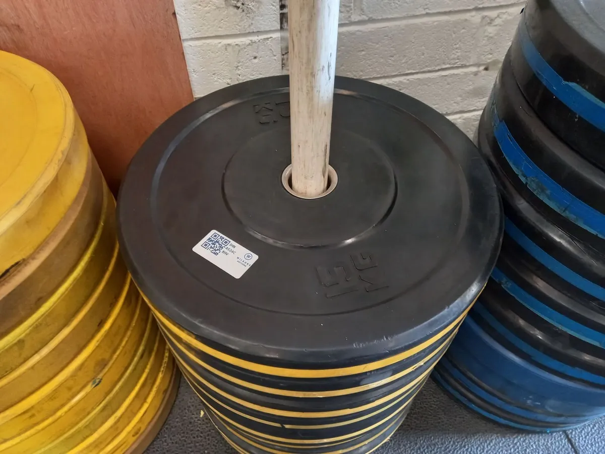 Unreserved Gym Auction on Behalf of D12 CrossFit - Image 1