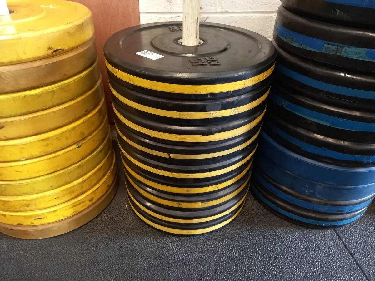 Unreserved Gym Auction on Behalf of D12 CrossFit - Image 3