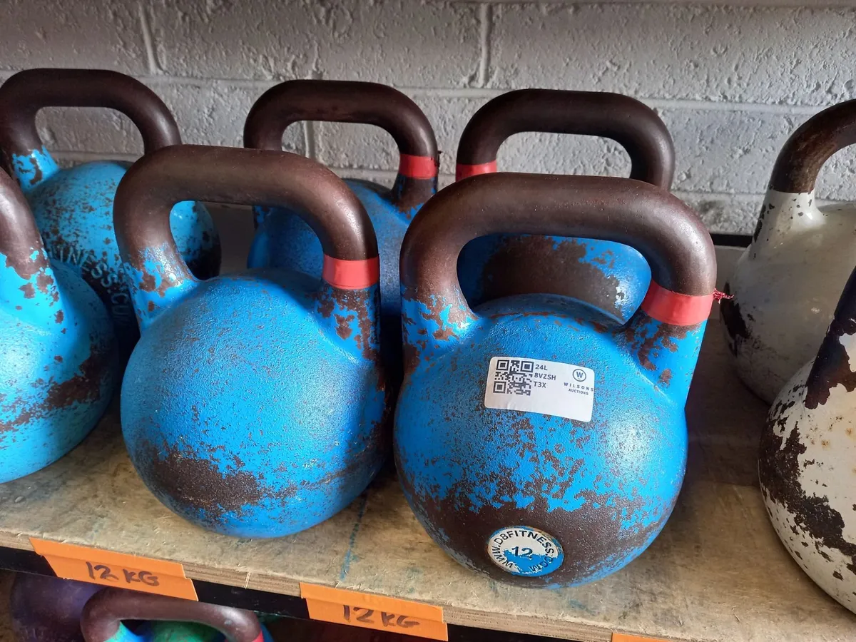 Unreserved Gym Auction On Behalf Of D12 CrossFit - Image 3