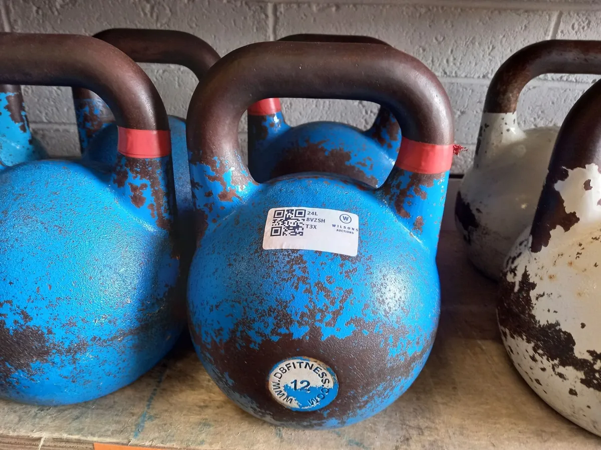 Unreserved Gym Auction On Behalf Of D12 CrossFit - Image 2