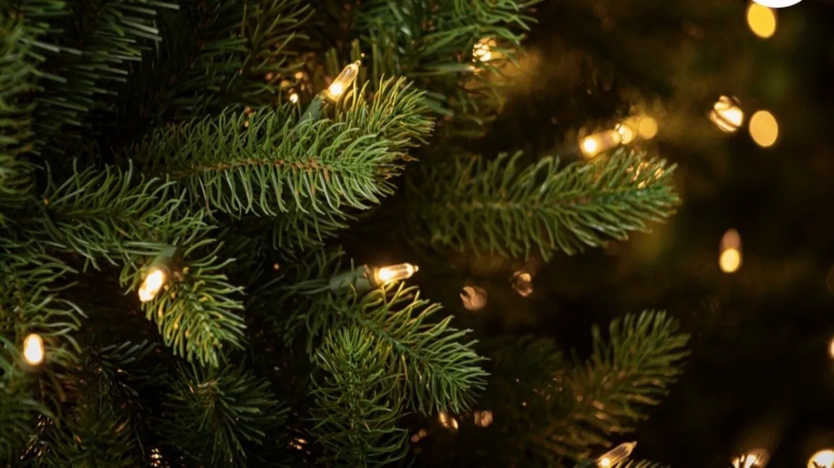 9ft Pre lit Christmas tree - Image 3