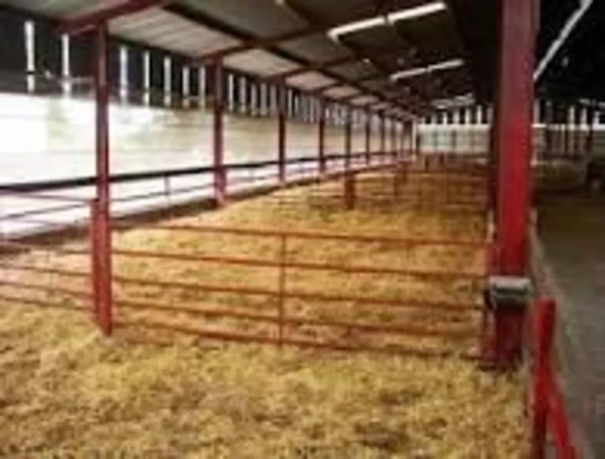 Sheep Shed - wanted to rent - Image 1