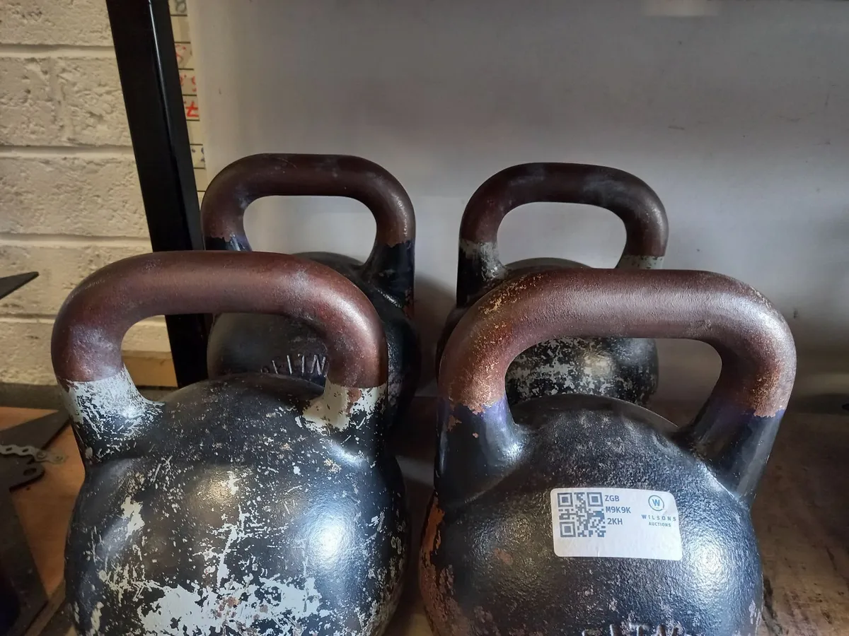 Unreserved Gym Auction On Behalf Of D12 CrossFit - Image 1