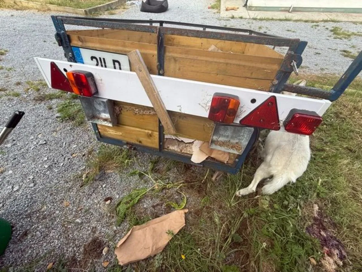 Compact Trailer - Image 2