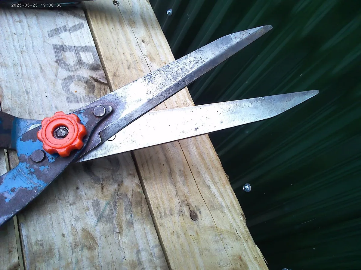 Hedge Clippers - Image 3