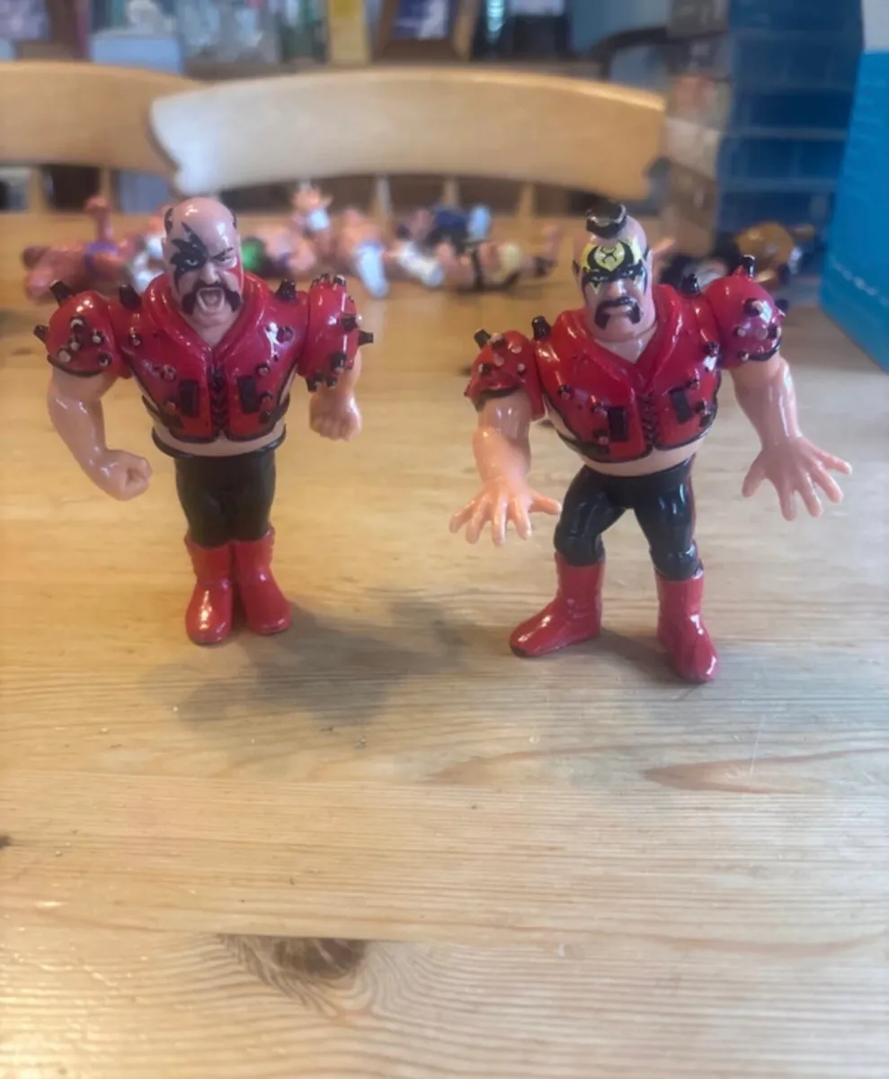Hawk and Animal Hasbro WWF Figures - Image 4