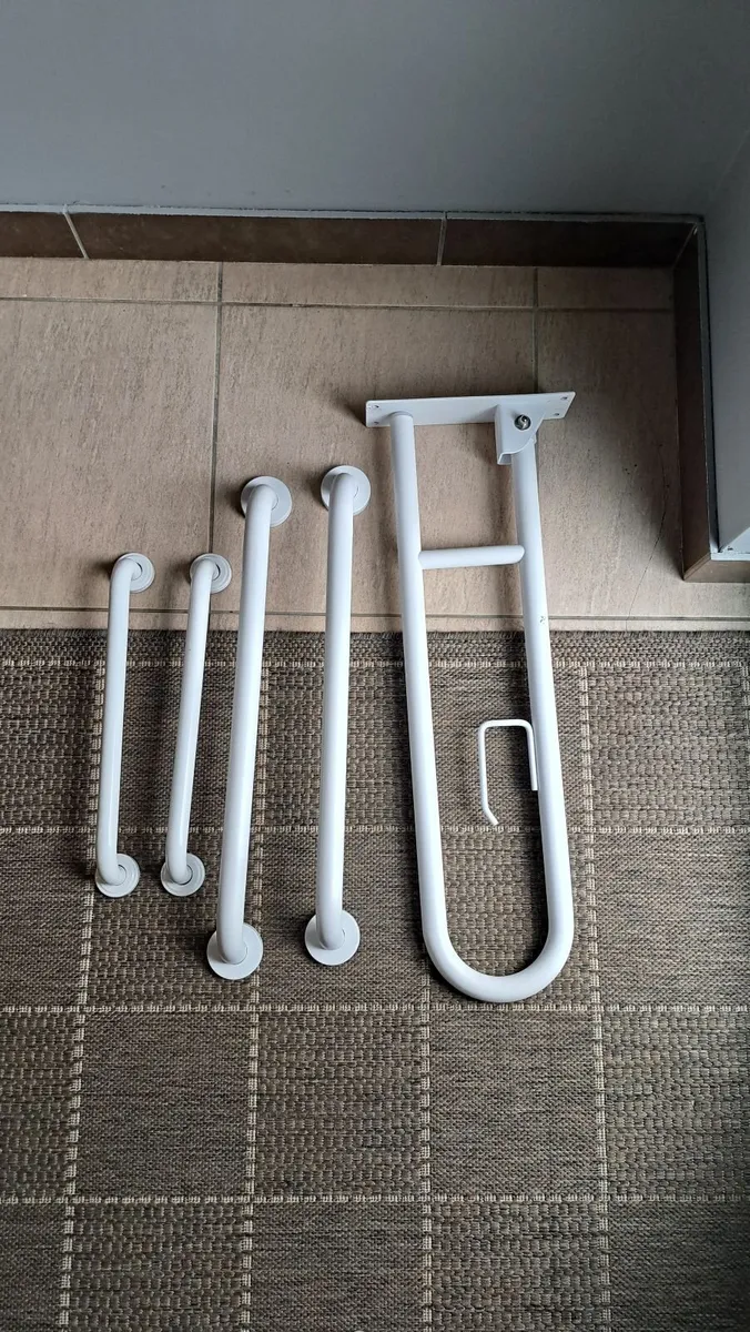 Half-doors and grab rails for disabled bathroom - Image 4