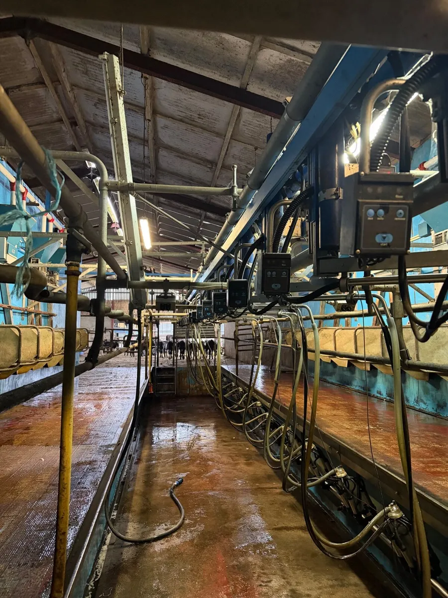 Delaval 15|30 Milking parlour swing over - Image 1