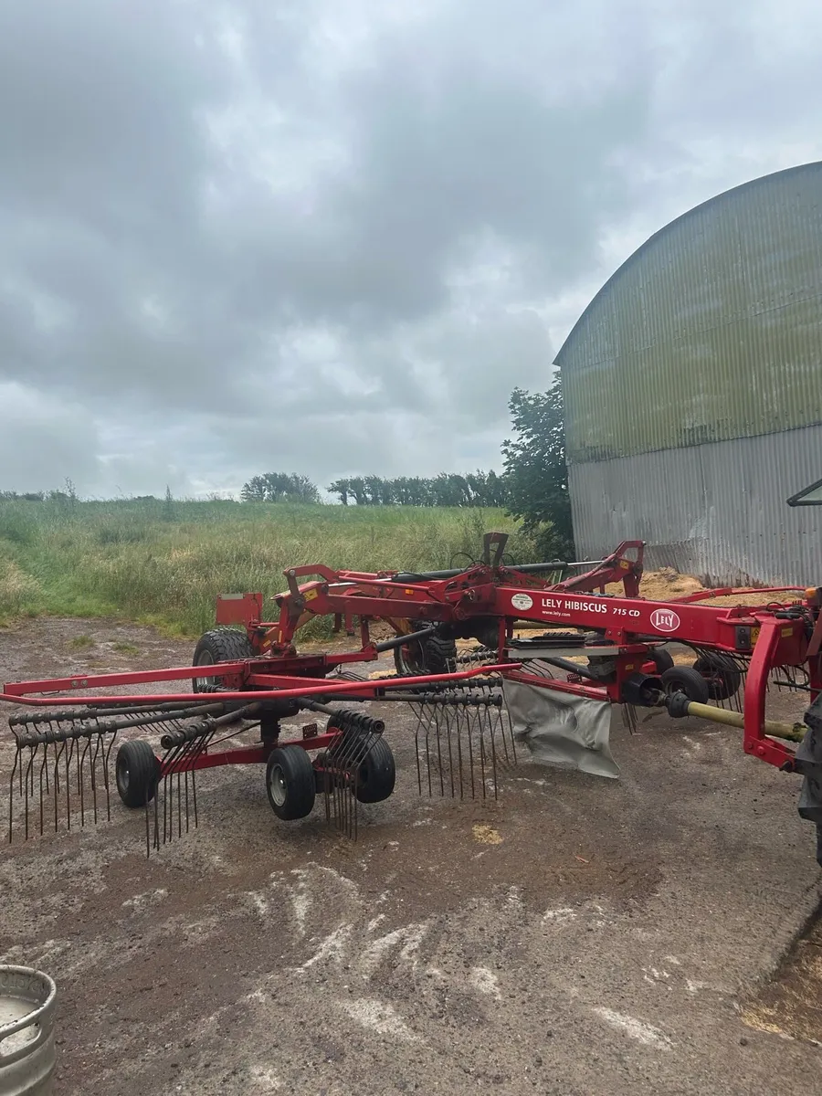 Lely 715 cd rake - Image 4