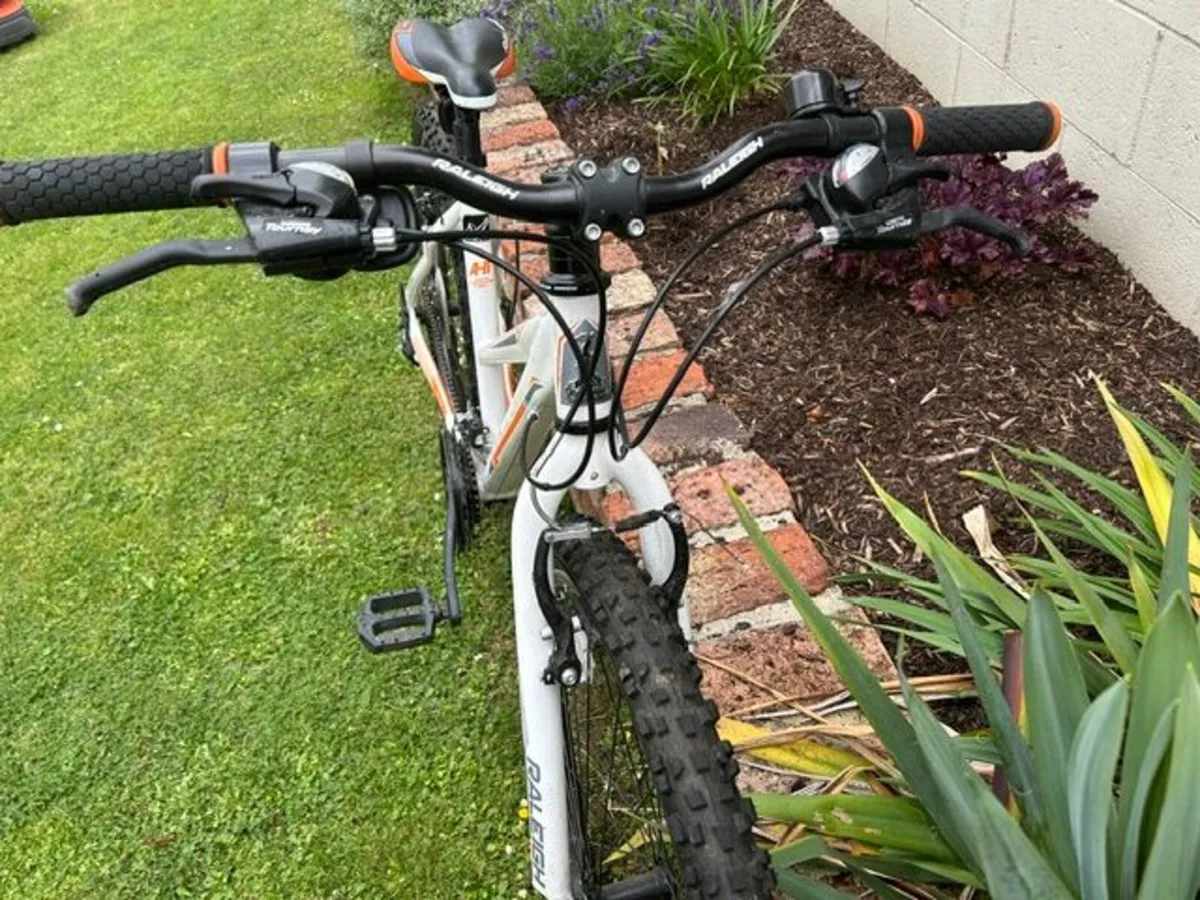 Bicycle - Image 4