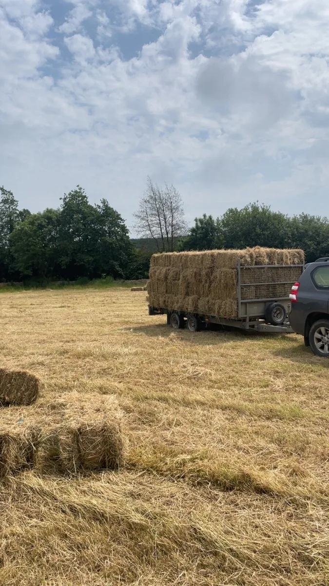 Small square straw and hay - Image 2