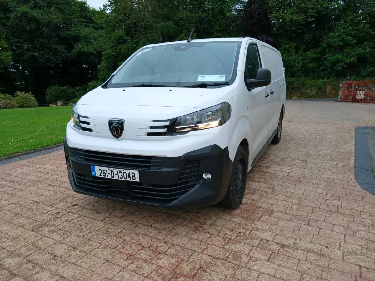 251 Peugeot  Expert - Image 1