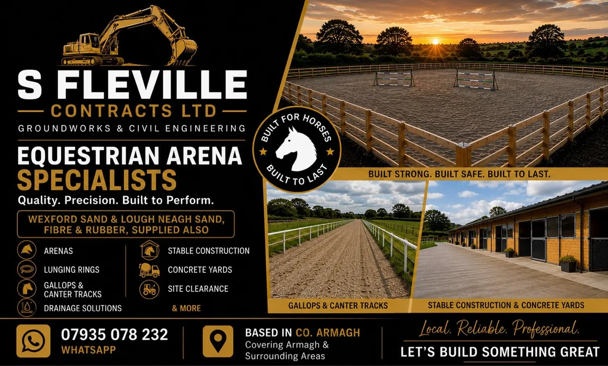 Arena construction - Image 1