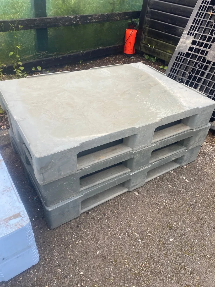 Heavy duty plastic pallets - Image 2