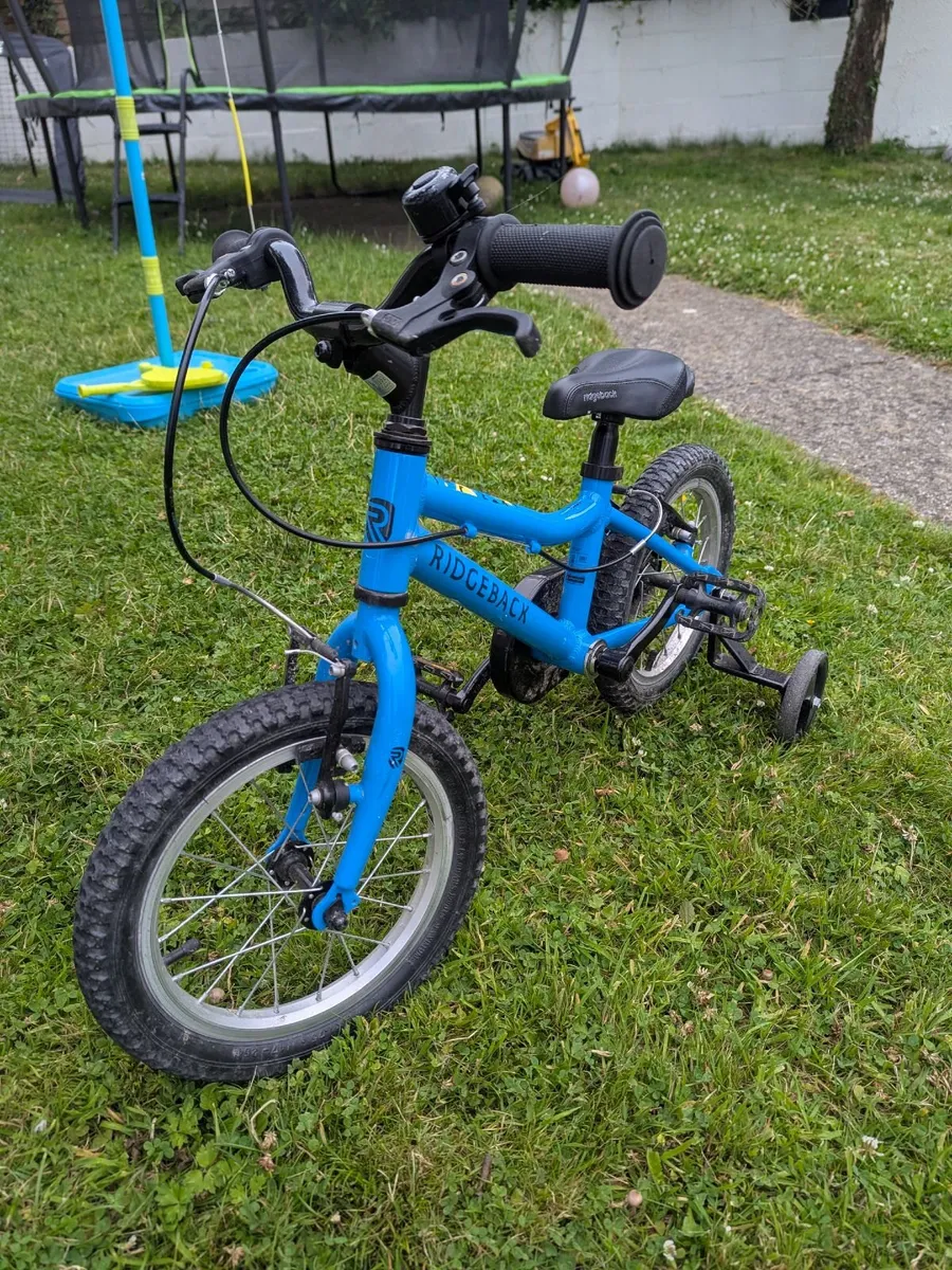 Kids Bike Ridgeback for 3 to 6 year old - Image 2
